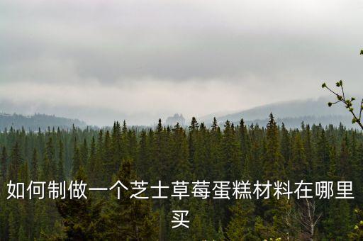 如何制做一個芝士草莓蛋糕材料在哪里買