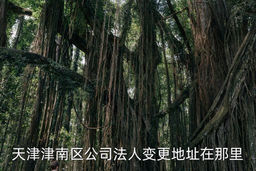 天津市津南財務咨詢，津南區哪個會計培訓機構比較好大家幫忙推薦一下
