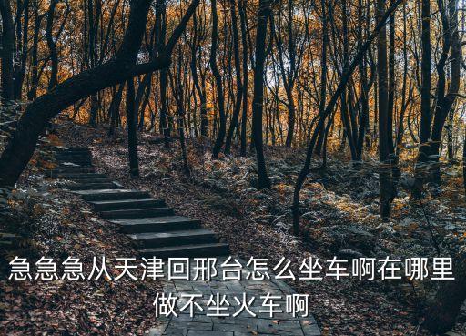急急急從天津回邢臺怎么坐車啊在哪里做不坐火車啊