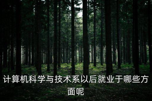 計(jì)算機(jī)科學(xué)與技術(shù)系以后就業(yè)于哪些方面呢