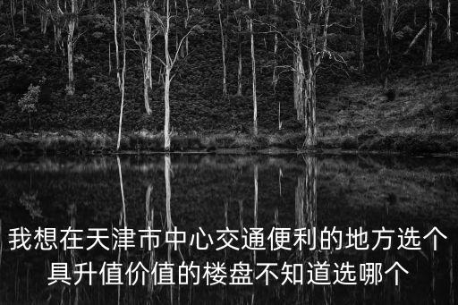 我想在天津市中心交通便利的地方選個具升值價值的樓盤不知道選哪個
