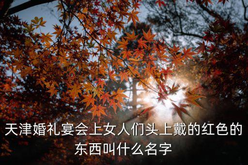 天津撈面，天津河?xùn)|順馳橋下的撈面叫什么