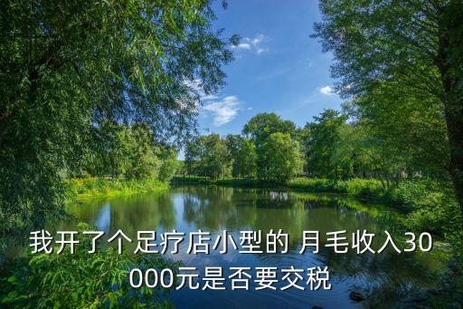 我開了個足療店小型的 月毛收入30000元是否要交稅