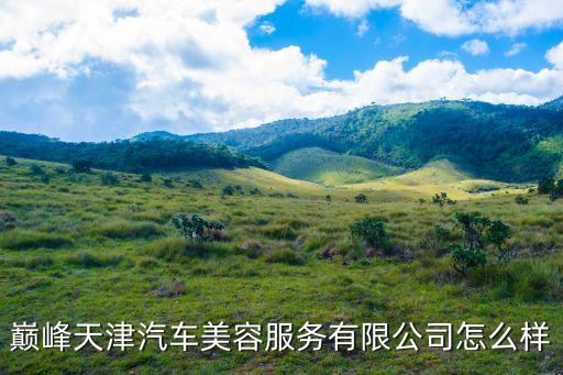 巔峰天津汽車美容服務(wù)有限公司怎么樣