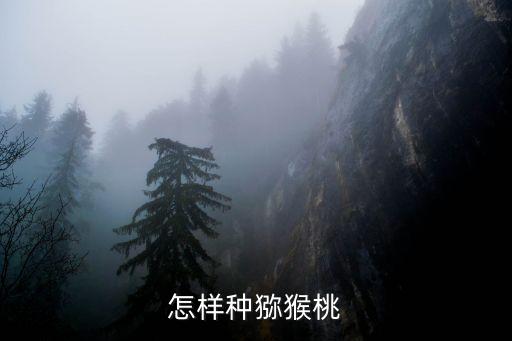 怎樣種獼猴桃
