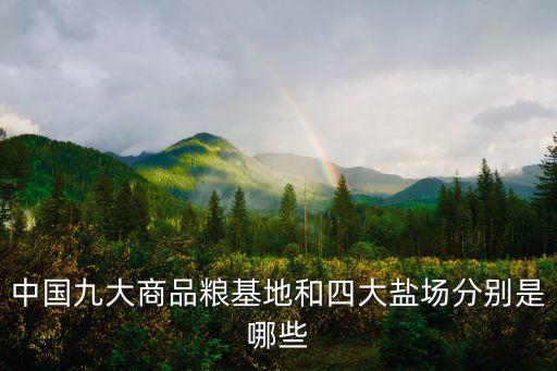 中國九大商品糧基地和四大鹽場分別是哪些