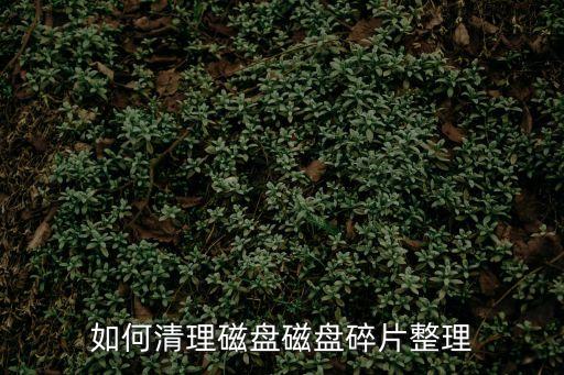 如何清理磁盤磁盤碎片整理