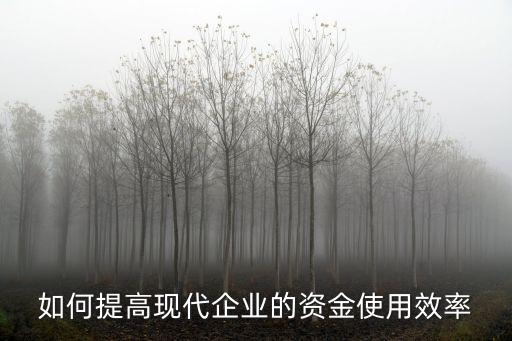 資金使用效率，請闡述資金利用效率的三類評價指標每類至少詳細介紹一個指標的概