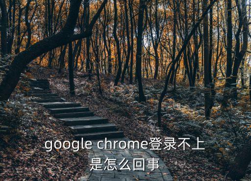 谷歌無法登陸，google play無法登陸怎么辦