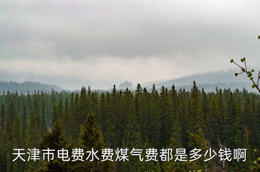 天津市給水配套費(fèi)，天津市電費(fèi)水費(fèi)煤氣費(fèi)都是多少錢(qián)啊