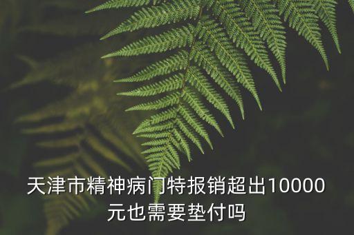 天津市精神病門特報銷超出10000元也需要墊付嗎