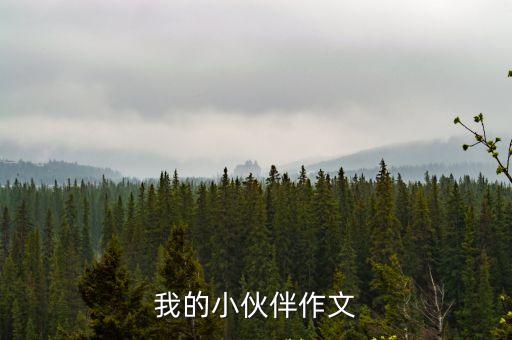 我的小伙伴作文