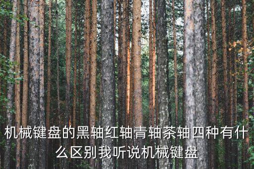機械鍵盤的黑軸紅軸青軸茶軸四種有什么區(qū)別我聽說機械鍵盤