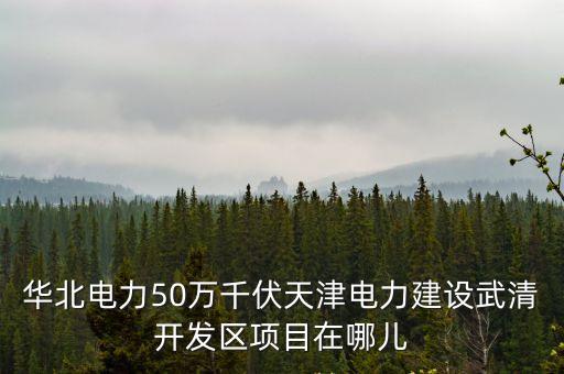 華北電力50萬千伏天津電力建設(shè)武清開發(fā)區(qū)項(xiàng)目在哪兒