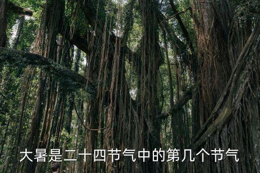 大暑節氣介紹，大暑是二十四節氣中的第幾個節氣