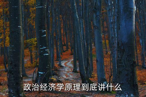 政治經濟學原理到底講什么