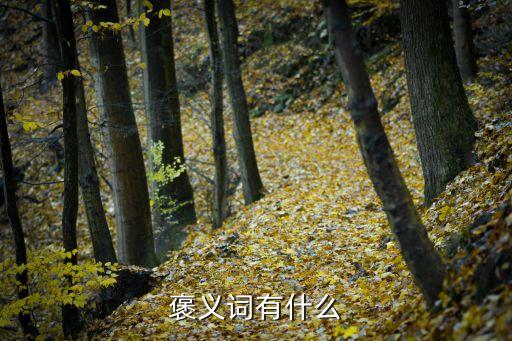 褒義詞有什么