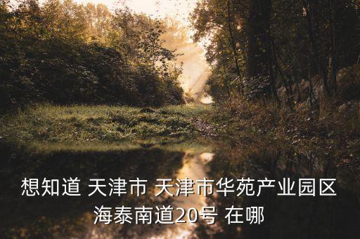 天津市中軸線視頻，從天津西站到天津市西青區(qū)津淶公路富興路2號南河鎮(zhèn)工業(yè)區(qū)南河鎮(zhèn)