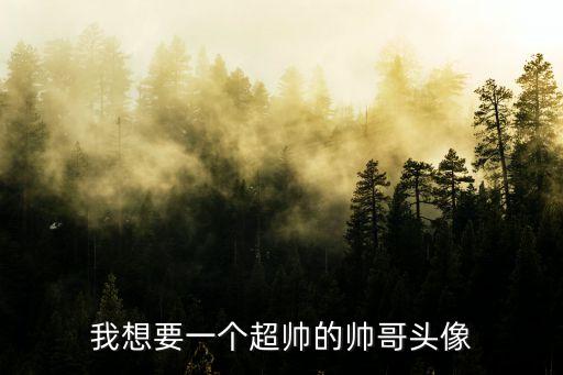 我想要一個超帥的帥哥頭像