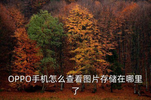 oppo圖片，oppoU9壁紙