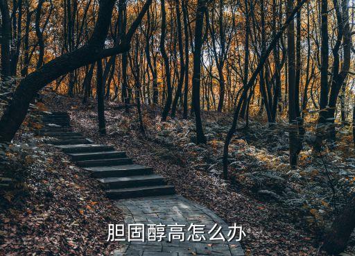 膽固醇高怎么調(diào)理，膽固醇偏高怎么調(diào)理