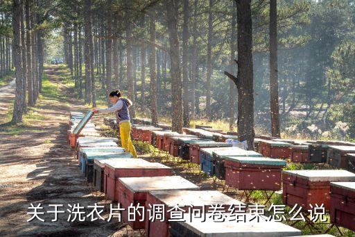 關(guān)于洗衣片的調(diào)查問卷結(jié)束怎么說