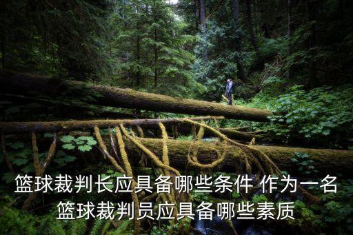 籃球裁判長(zhǎng)應(yīng)具備哪些條件 作為一名籃球裁判員應(yīng)具備哪些素質(zhì)