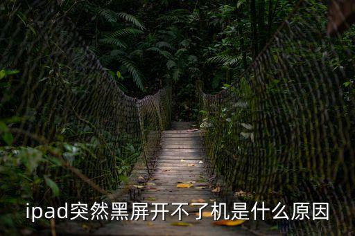 ipad突然黑屏開不了機是什么原因