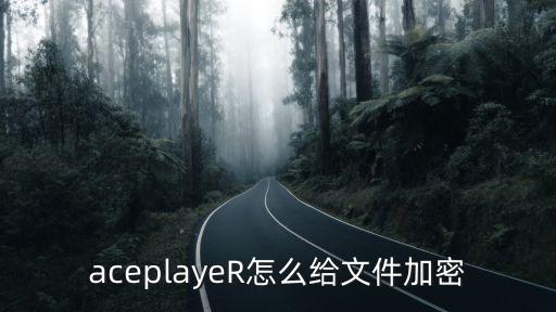 aceplayer，我的iPad上的ace player打不開點擊他它就閃一下也進不去怎么