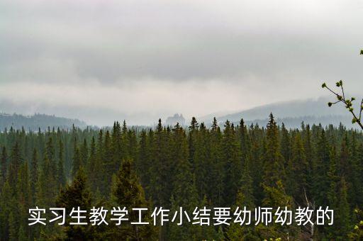 實習生教學工作小結要幼師幼教的