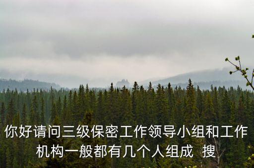 中央保密委員會，保密委員會副主任是不是一定要設(shè)