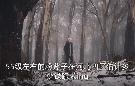 55級左右的粉斧子在河北四區估計多少錢跪求ing