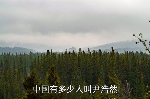 中國有多少人叫尹浩然