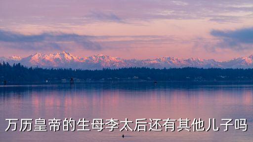 萬歷皇帝的生母李太后還有其他兒子嗎