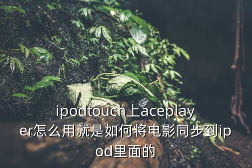 ipodtouch上aceplayer怎么用就是如何將電影同步到ipod里面的