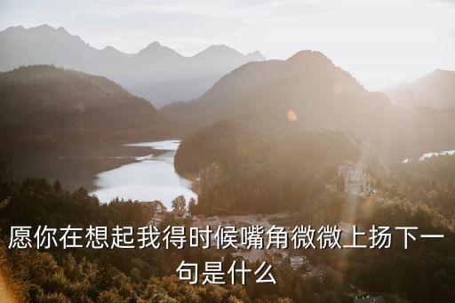 愿你在想起我得時候嘴角微微上揚下一句是什么