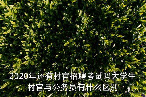 2020年還有村官招聘考試嗎大學生村官與公務員有什么區別