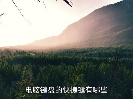 電腦鍵盤(pán)的快捷鍵有哪些