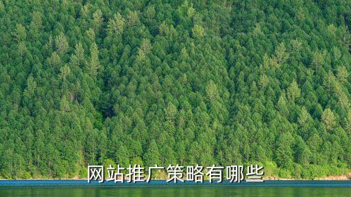 網站推廣策略有哪些