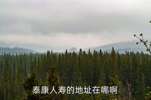 泰康人壽的地址在哪啊