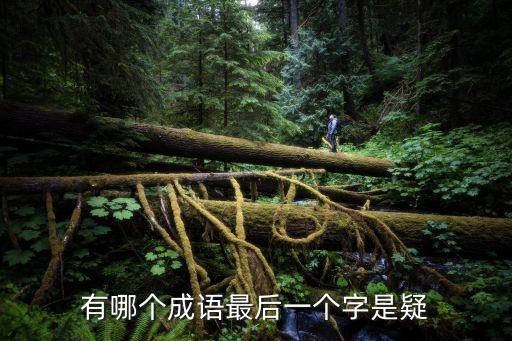 有哪個成語最后一個字是疑