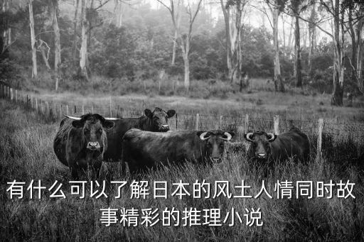 有什么可以了解日本的風土人情同時故事精彩的推理小說