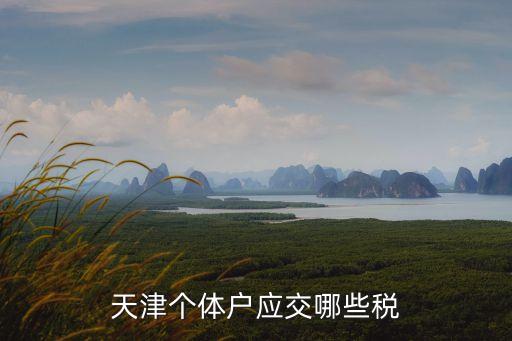 天津市個體工商戶個人所得稅，天津個體戶應交哪些稅