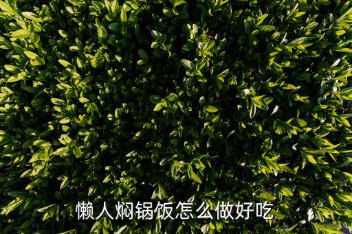 懶人燜鍋飯怎么做好吃