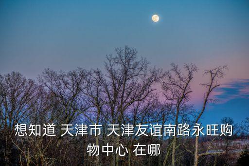 想知道 天津市 天津友誼南路永旺購物中心 在哪