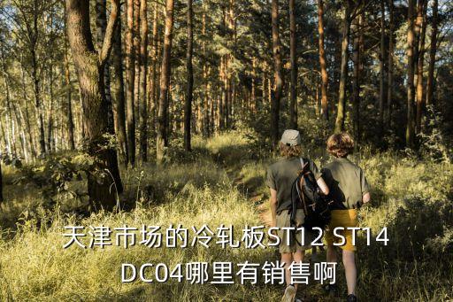 天津市宇潤德金屬，我想面試BETAFENCE金屬制品天津有限公司 之前看到您去過那