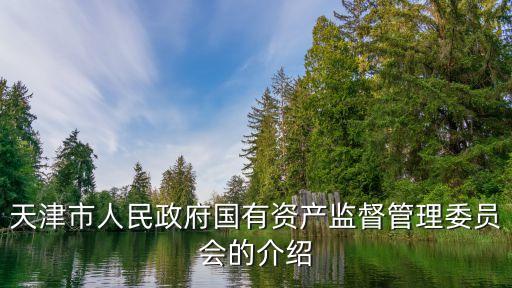 天津市人民政府國有資產監督管理委員會的介紹