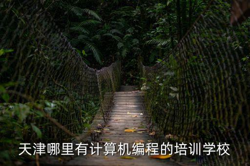 天津哪里有計算機編程的培訓學校
