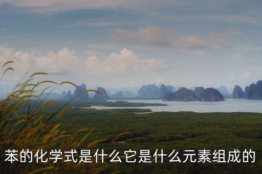 苯的化學式是什么它是什么元素組成的