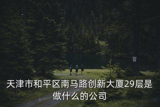 天津市和平區南馬路創新大廈29層是做什么的公司